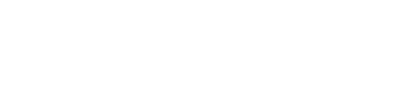 Burgturm Bar Seengen Logo
