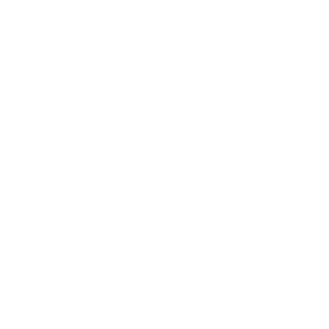 Eric Meier - Steinbildhauer Logo